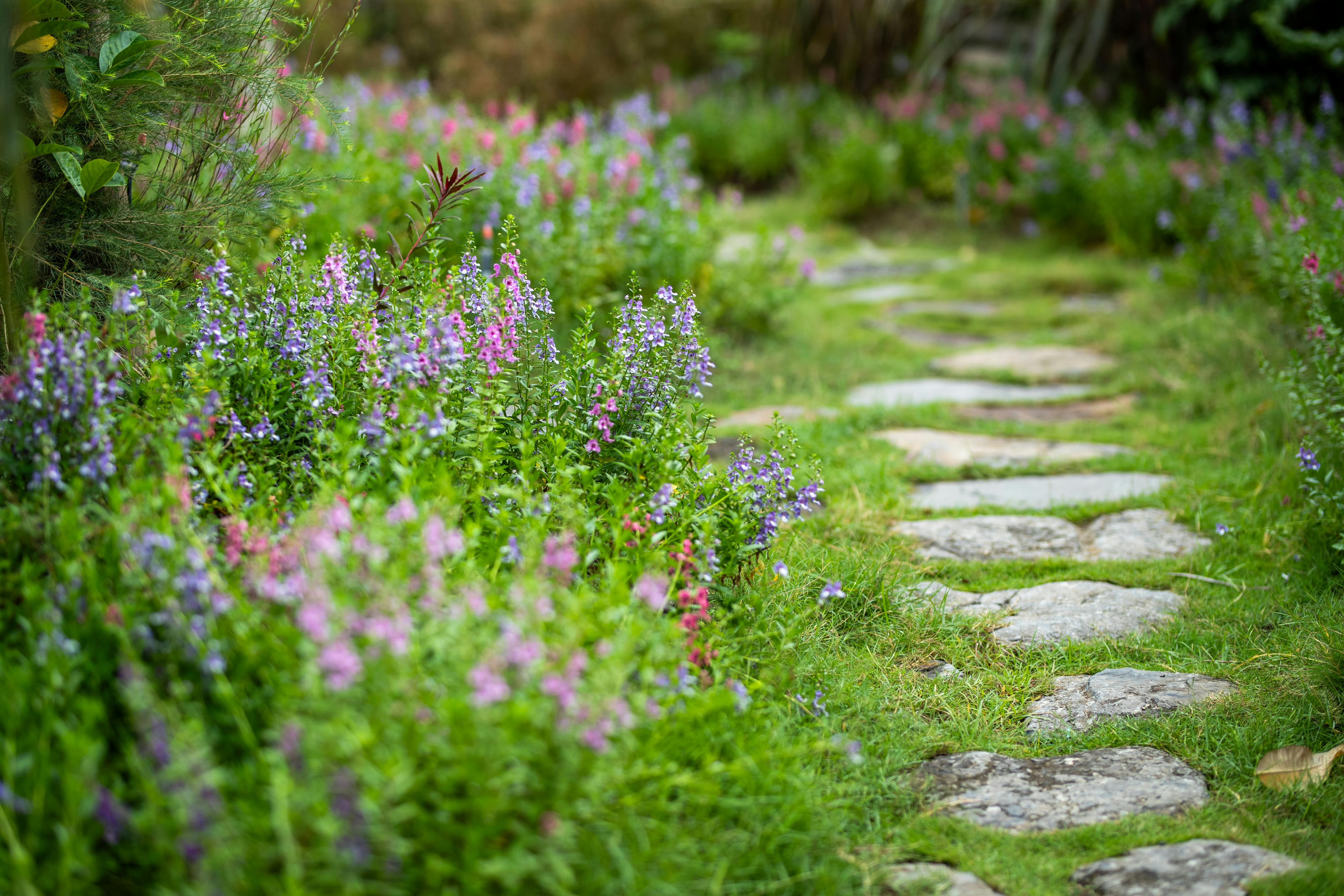 Stepping Stones