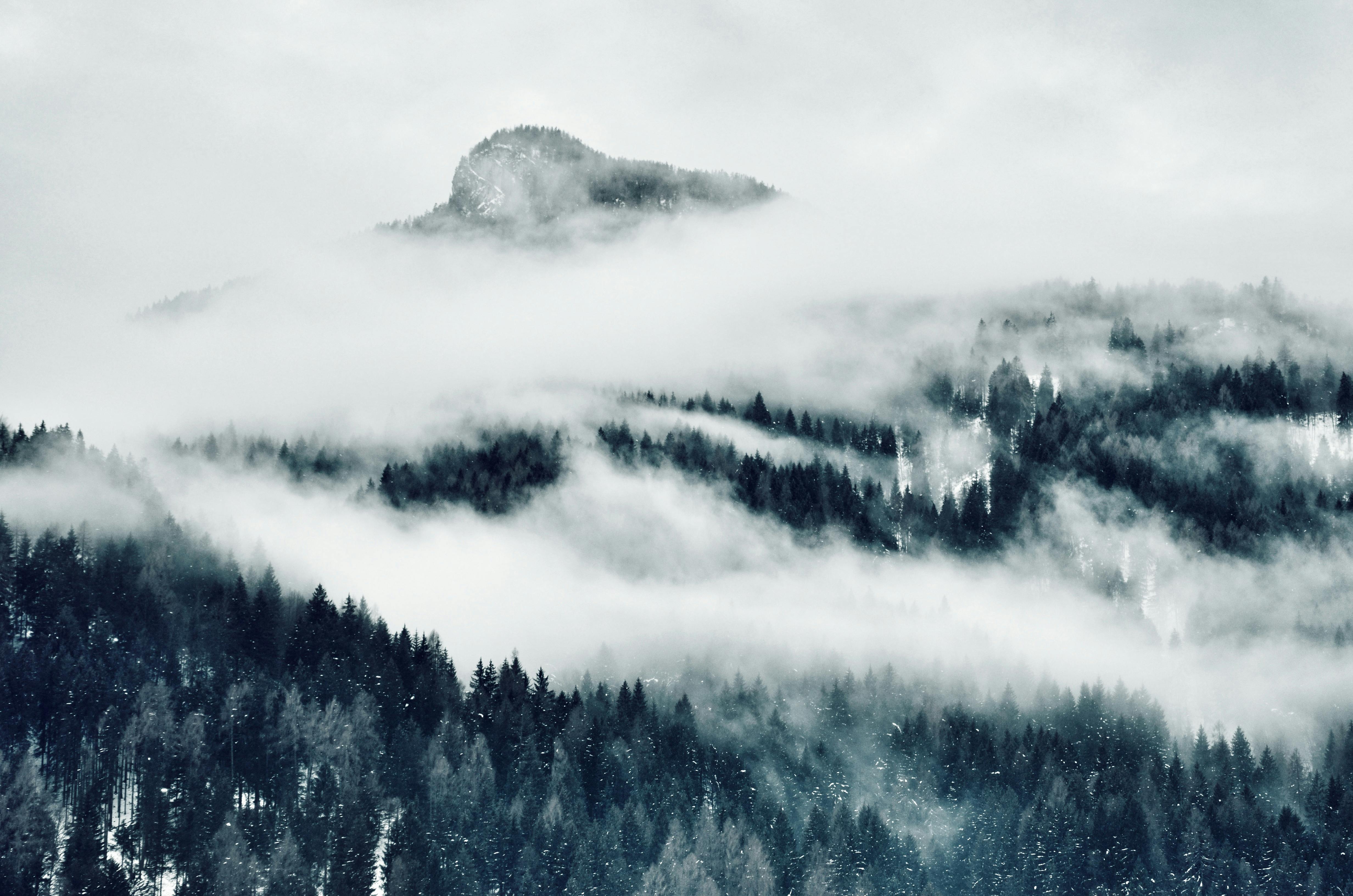 Misty Mountain