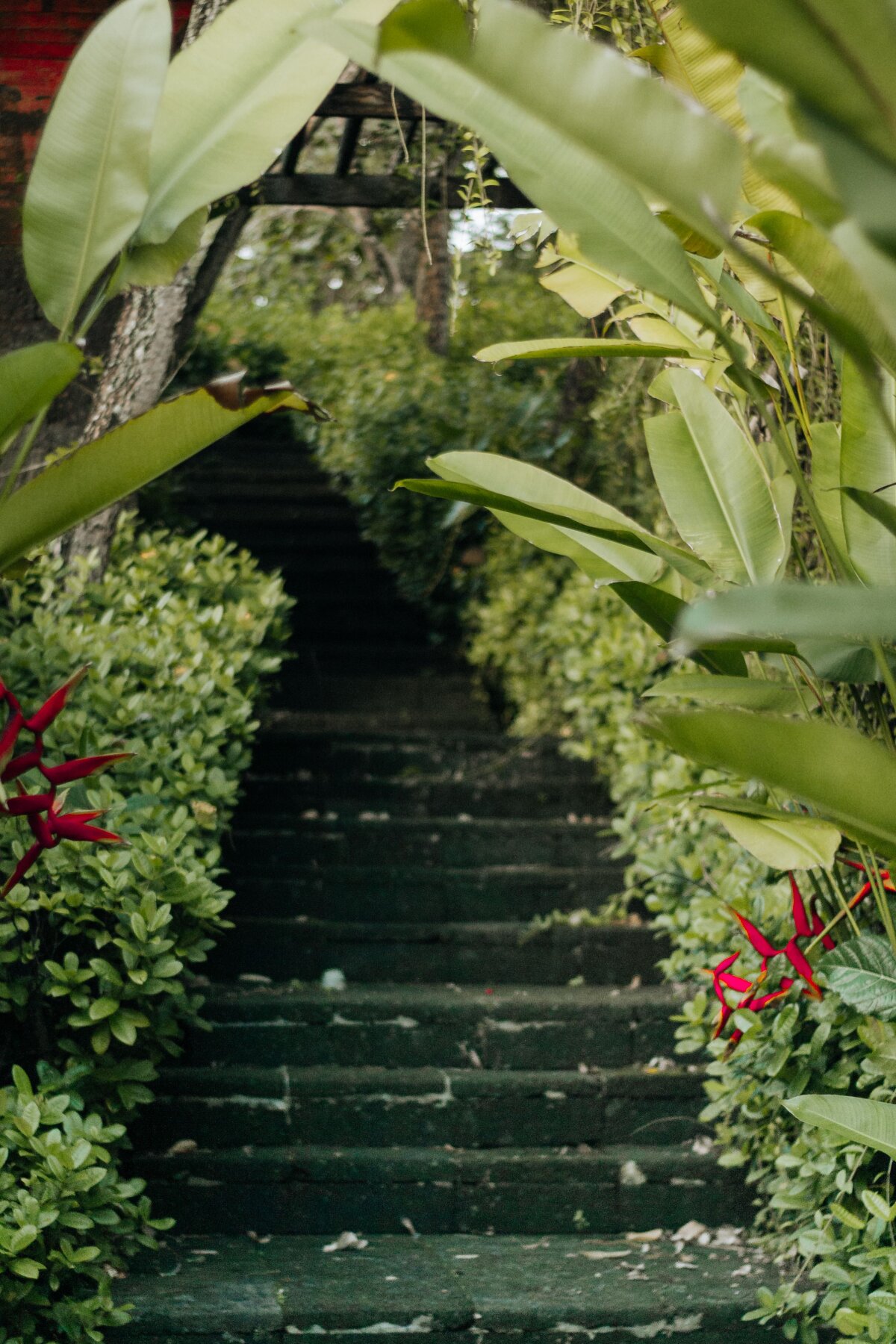 Bottom-Up Execution: Staying Effective in Everyday Life