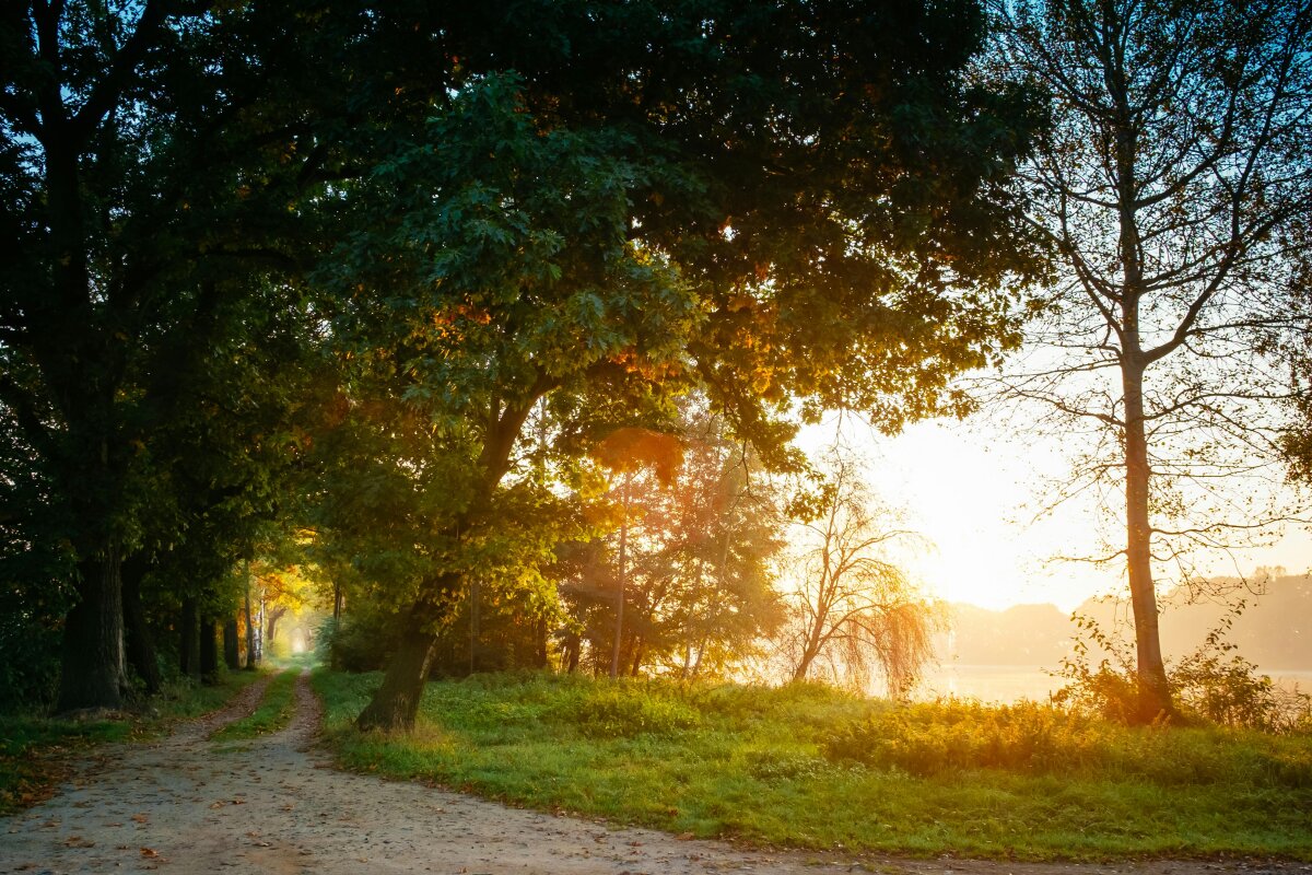 The Rhythm of Progress: Structuring Your Goals for Momentum