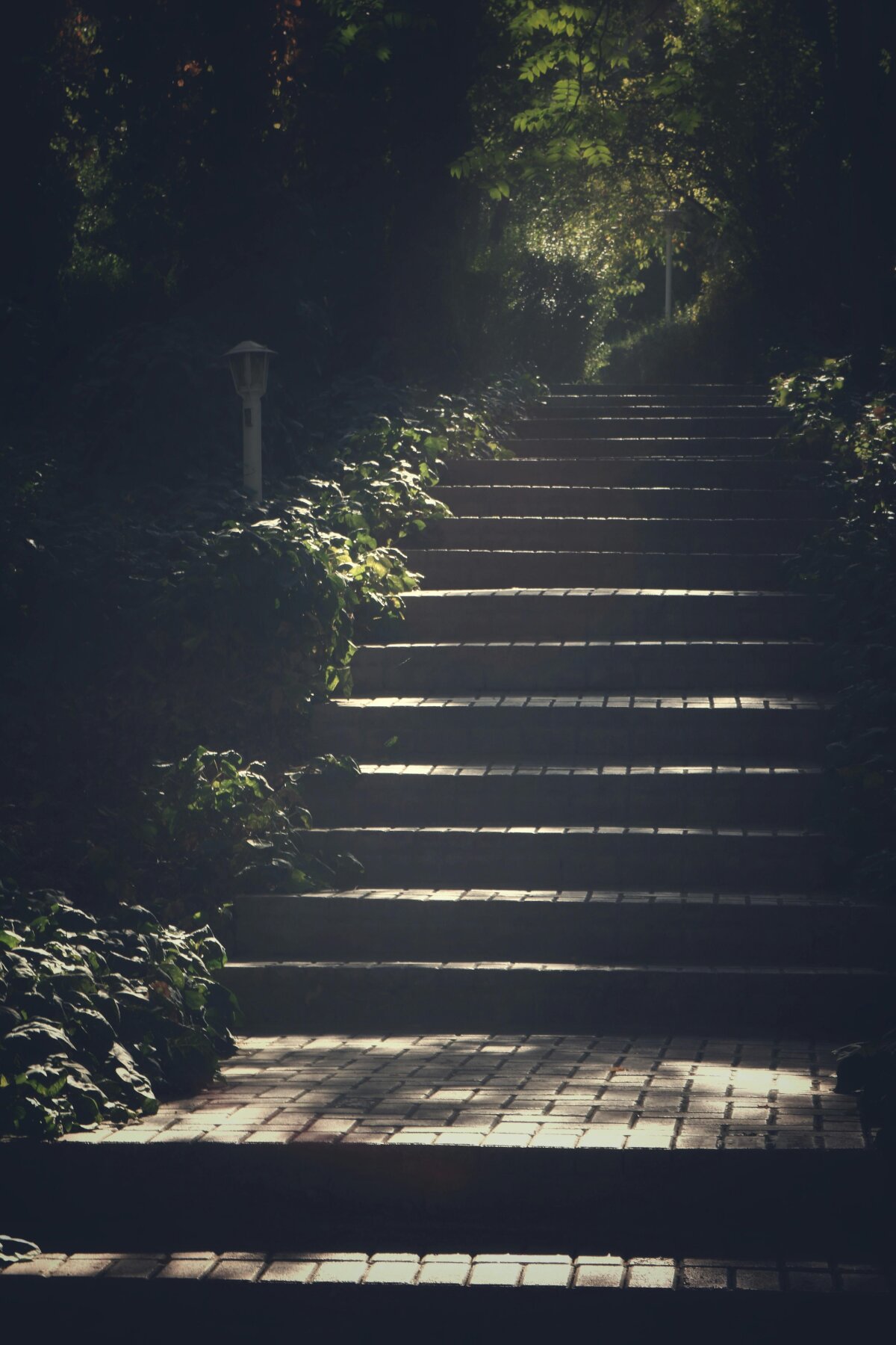 Middle-Way Reviews: Staying Focused and Productive