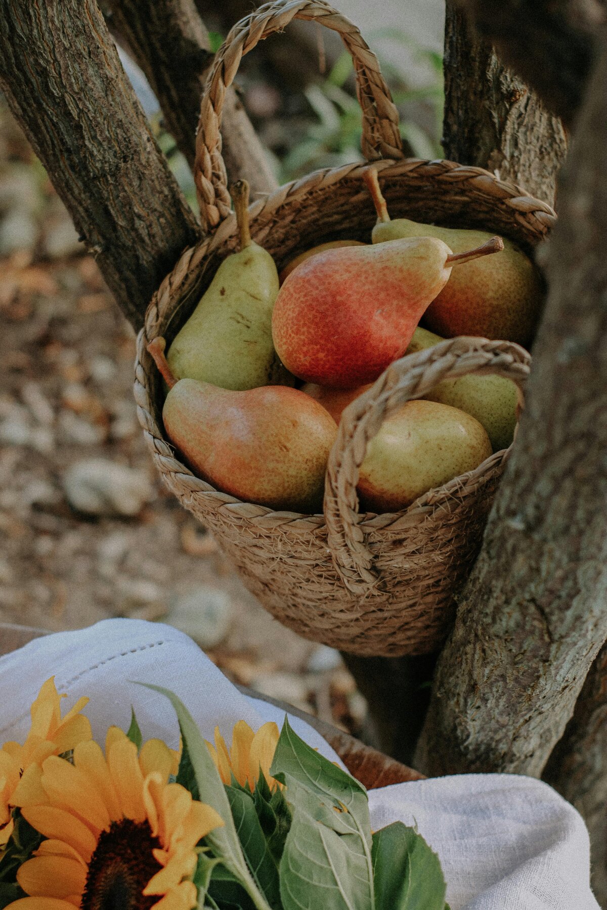 Capture What Matters: The Foundation of the Middle-Way Method